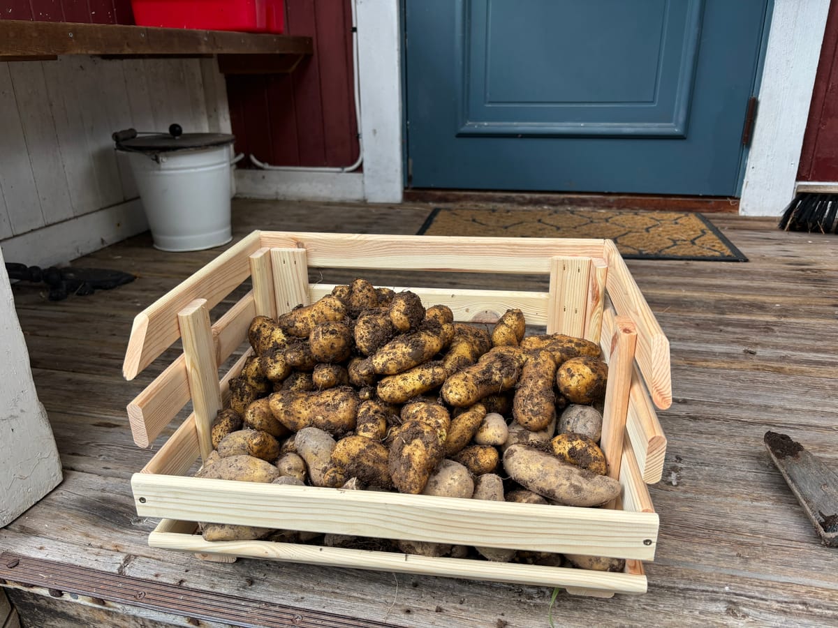 Mandelpotatis