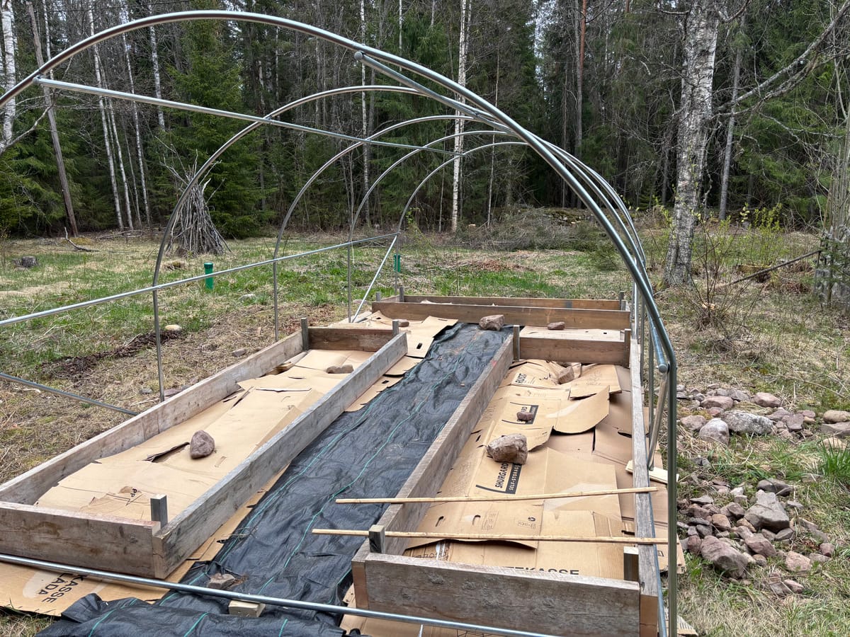 Tunnelväxthuset tar form