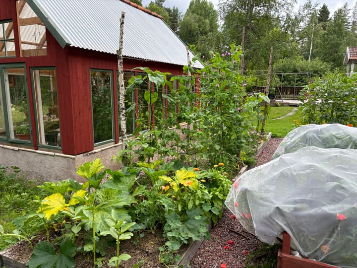 Planer för skuggig samodling