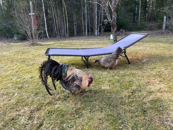 Läget i Gläntan