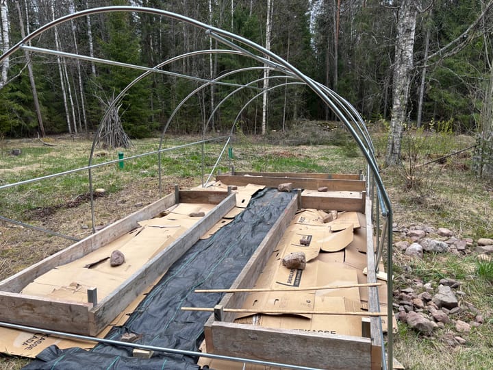 Tunnelväxthuset tar form
