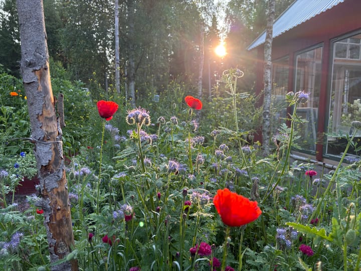 I slutet av juli